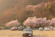 高遠城址公園の駐車場